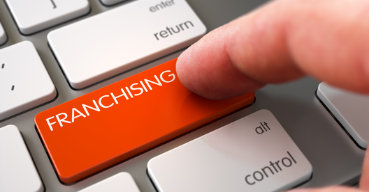 Pročitajte više o članku Prijelaz sa maloprodaje na franšizni sustav u obrazovanju